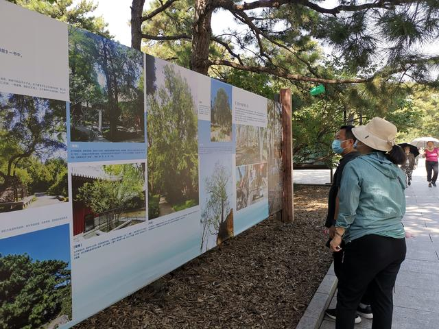 游客在国家植物园（北园）参观“中国古树名木保护图片展”。新京报记者 张璐 摄