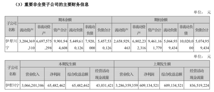 　　图源：科伦药业年报