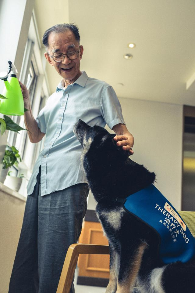治疗犬ZARA与老人。受访者供图