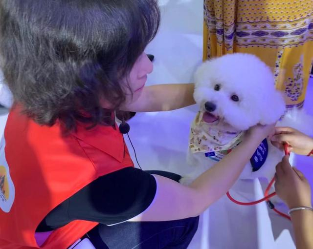 悠悠第一次参加志愿活动，穿上治疗犬“制服”。受访者供图