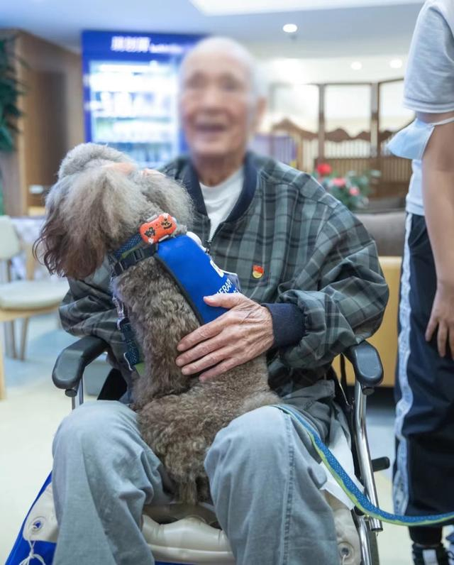 治疗犬皮皮到养老院参加志愿服务。受访者供图