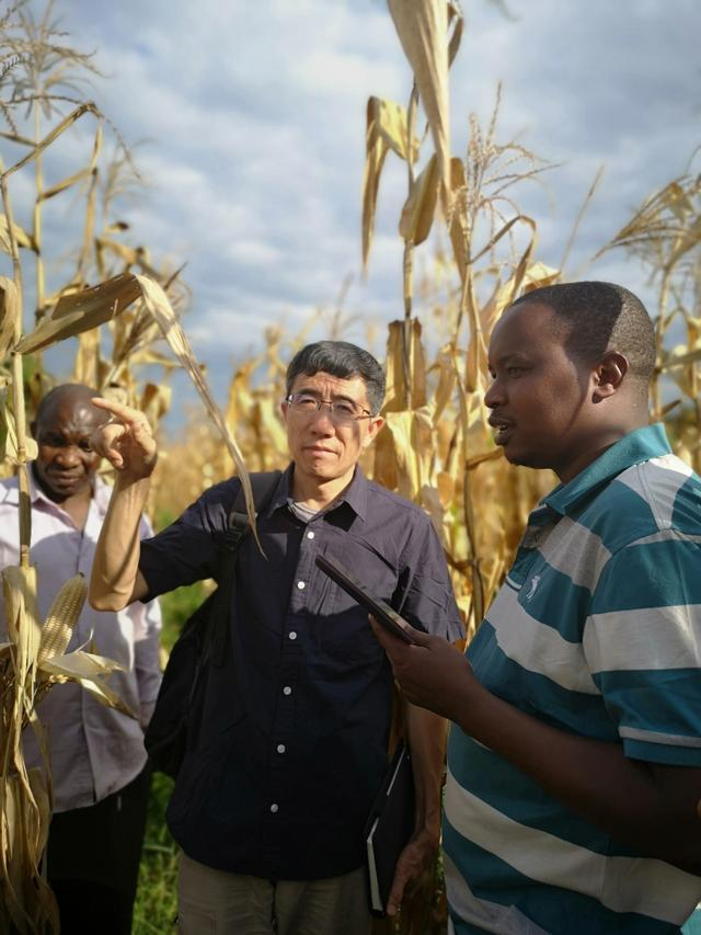 2018年10月，李小云教授在坦桑尼亚实地调研。中国农业大学供图