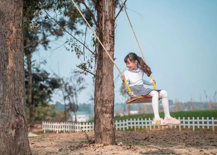 　　▲往期活动实拍及实景图