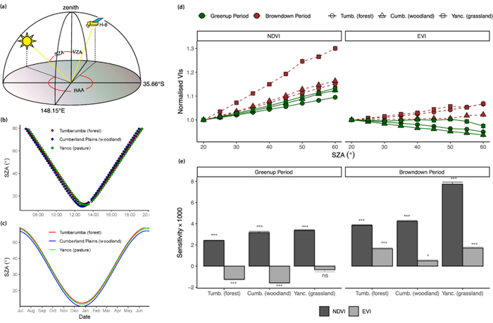 图3 （a）站点位置的H8/AHI太阳观测几何示意图；（b）不同站点的H8/AHI太阳角度日变化图；（c） H8/AHI观测在站点当地日正午时间太阳天顶角的年变化图；（d， e） 植被指数（VIs）对太阳天顶角（SZA）变化的敏感性分析。（d）是NDVI和EVI对SZA在20-60°变化范围内的响应；（e）是不同植被生长阶段NDVI和EVI对SZA变化的敏感性分析。为了便于站点之间的对比，VIs归一到VISZA20。敏感性是指VIs随SZA每度的变化值。