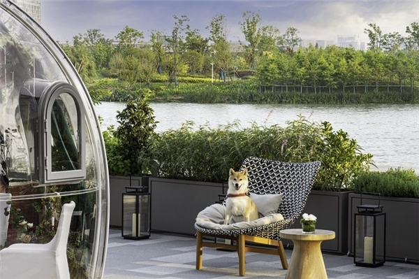 　　宁波凯悦尚萃酒店