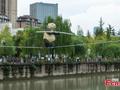 'Kungfu' panda 'walks' tightrope in Chengdu