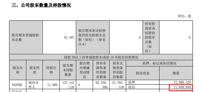 　　图片来源:合纵科技半年报截图