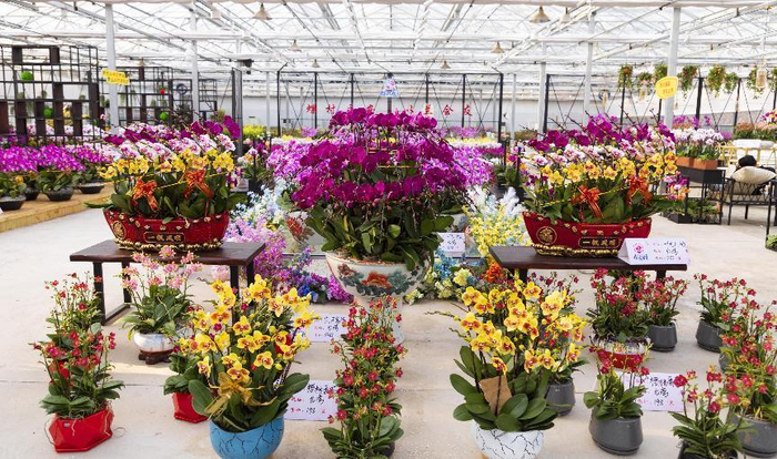 永安村花艺大厅