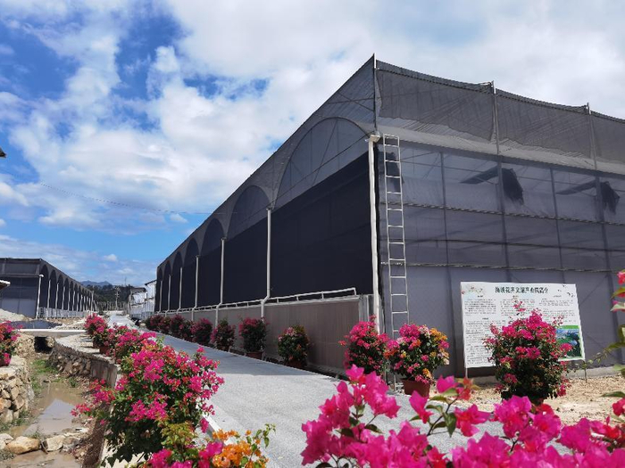 建设中的海峡花卉文旅产业园