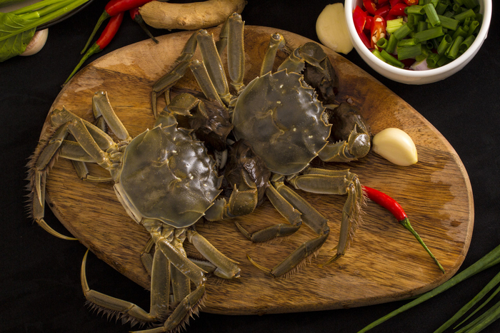 图源：图虫创意