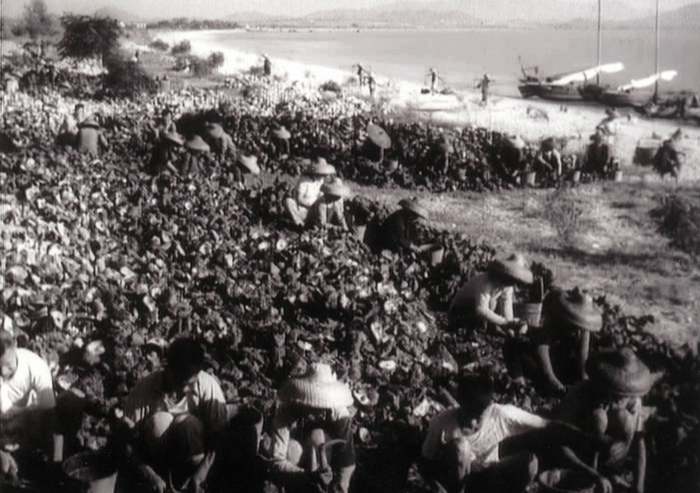 后海开蚝的场景。吴序运 摄