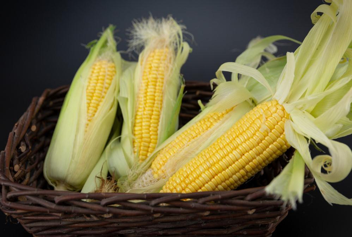 图片来源：摄图网&nbsp;