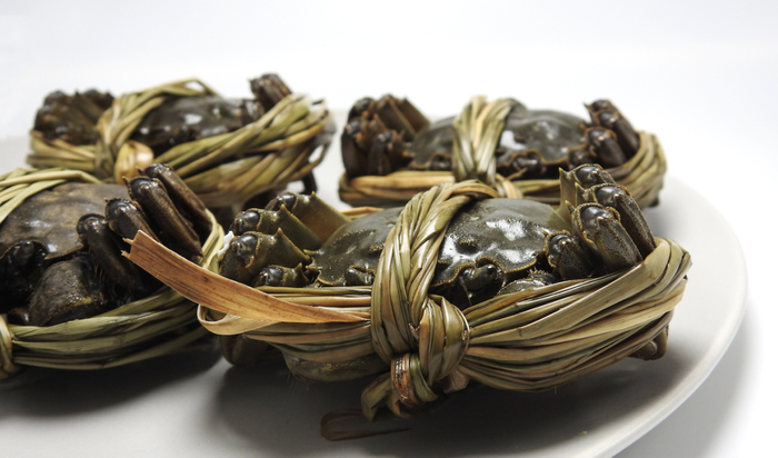 （图源：千图网）