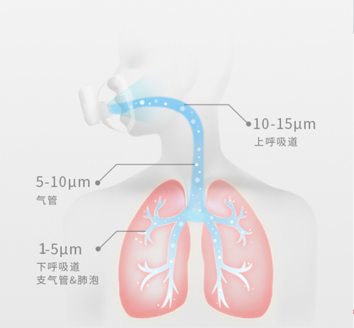 　　图：雾化颗粒可抵达不同患处