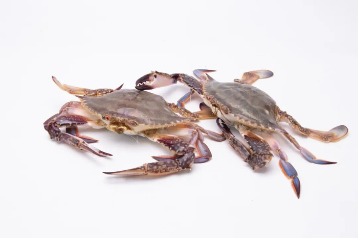 （图源：千图网）