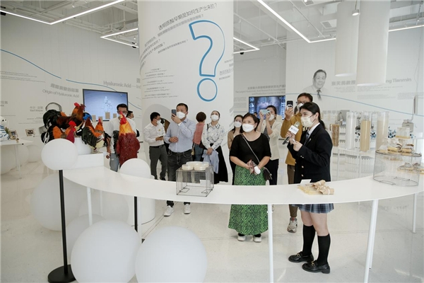 　　图1-透明质酸博物馆参观图