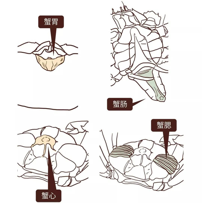 （图源：广州卫健委）