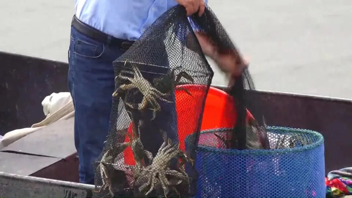 （图源：新华日报）