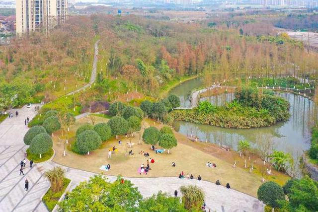 ▲市民在九曲河湿地公园休闲游玩