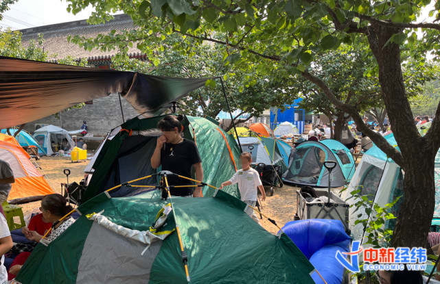 某亲子乐园内很多家长带孩子来露营 来源：受访者提供