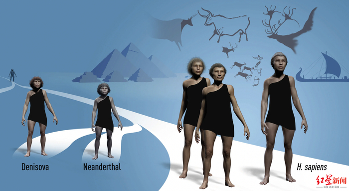 ↑帕博的研究为探索是什么使我们成为独一无二的人类奠定了基础