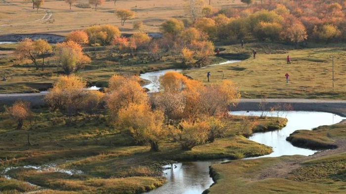 河北塞罕坝湿地