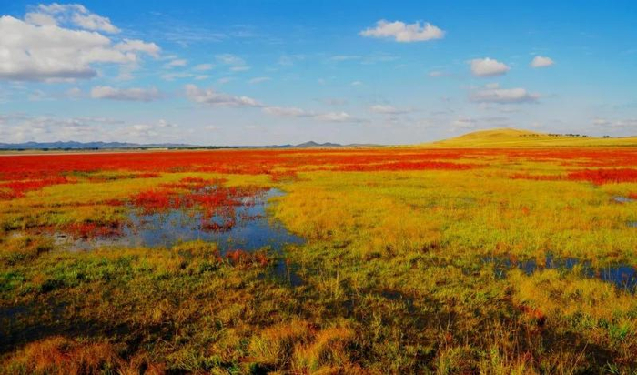张家口沽源公鸡淖湿地