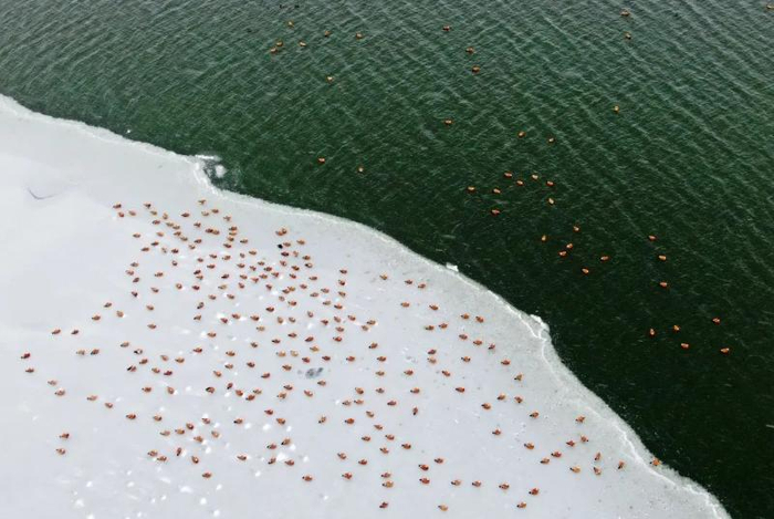 张家口沽源坝上闪电河国家湿地公园