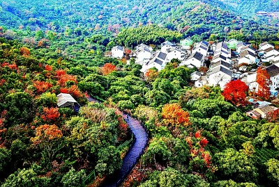    树山村戈家坞自然村落 树山村村委会供图