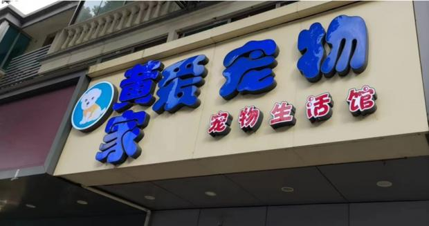 孙孔武“领养”柯基犬的宠物店。受访者供图