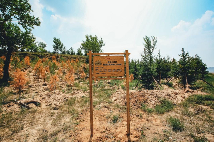 　　图注：新华三集团-自治区首府碳汇示范林