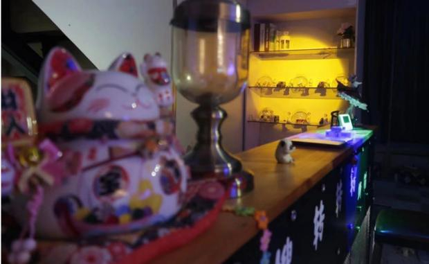 陈莫涵的猫舍。受访者供图