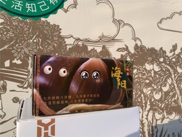 【海阳印象系列产品包装展示——海阳板栗】