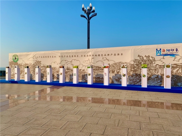 【海阳印象系列产品包装展示——海阳十二钗】