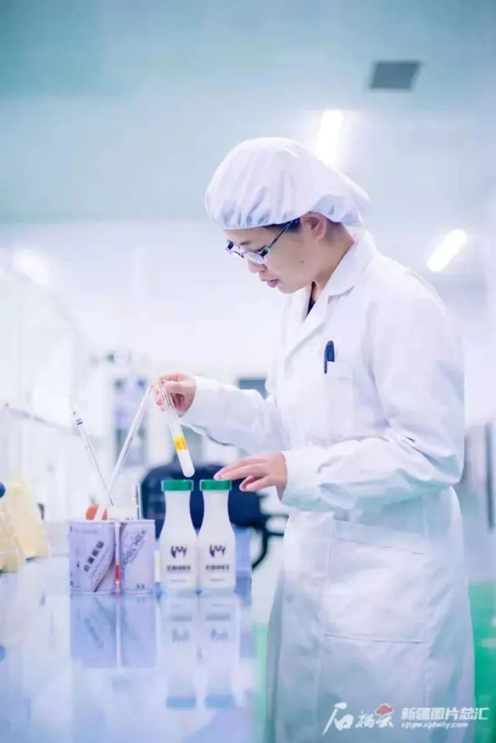 　　新疆旺源生物科技集团品控人员正在对驼乳做观察期留样实验（资料图）。图由旺源集团提供