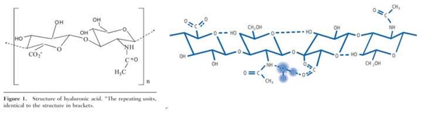 　　玻尿酸是一种聚合多糖，图左展示是聚合物中的小分子单体结构单元，右为聚合物以及亲水性示意图