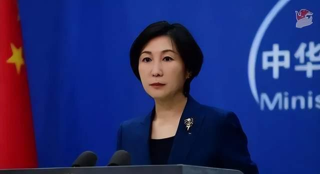 毛宁资料图。图源外交部网站