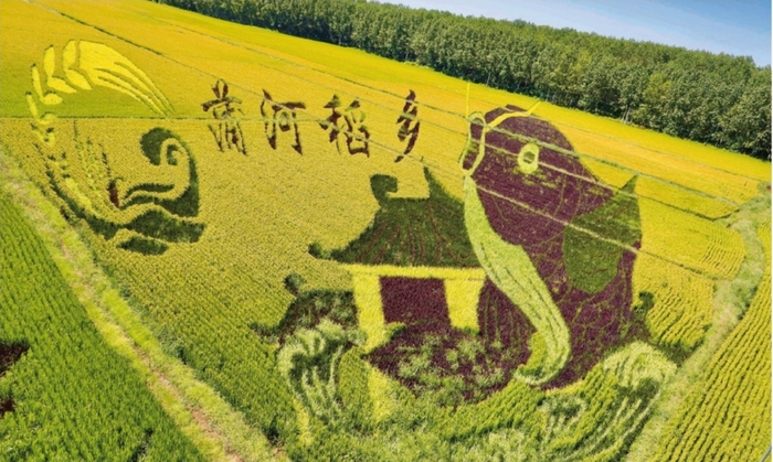 辽中区蒲河稻乡稻田画风景区。辽中区供图