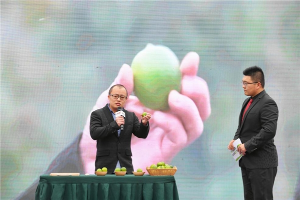 　　安岳县柠檬产业发展中心科研股股长吴强详细讲解各等级青柠