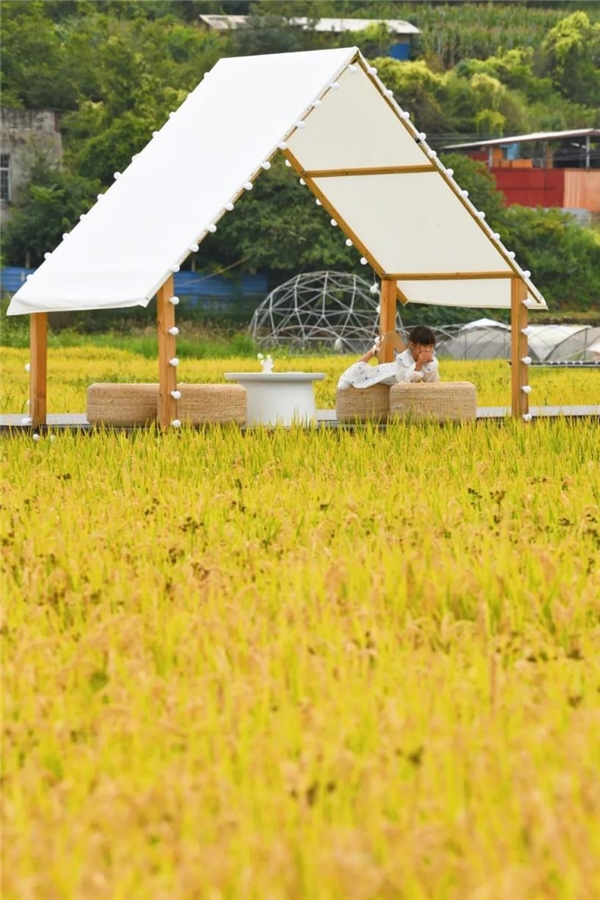 　　来源 :五华区区融媒体中心