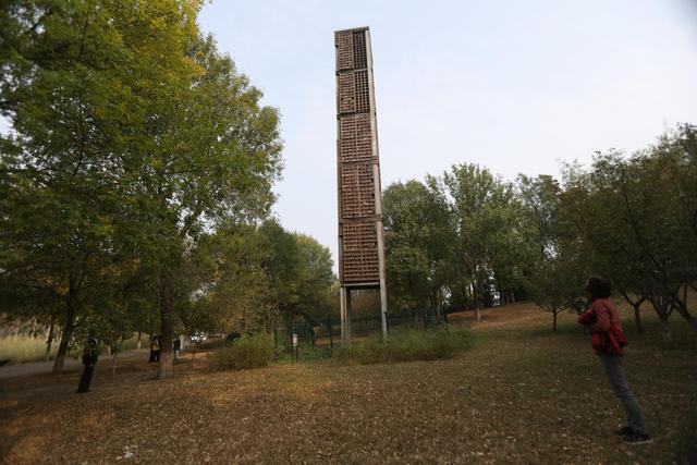 位于奥林匹克森林公园北园的雨燕塔。新京报记者 王飞 摄