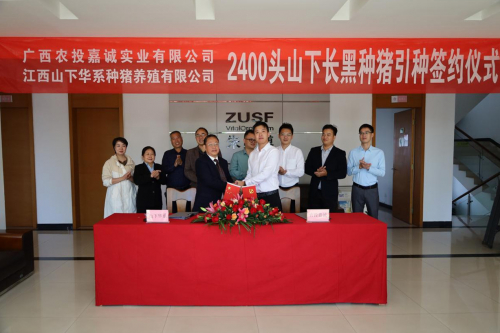 农投嘉诚成功签订2,400头山下长黑种猪引种合作协议！