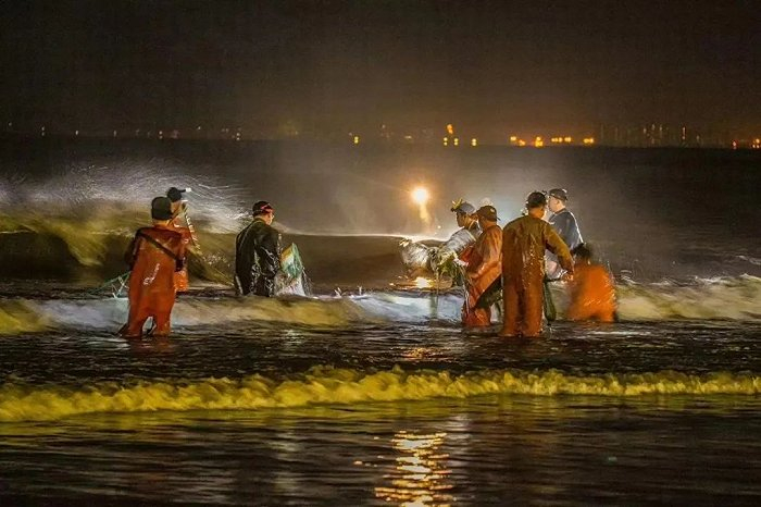 ▲ 专业捞海肠团队。图 / 烟台摄友陈飞