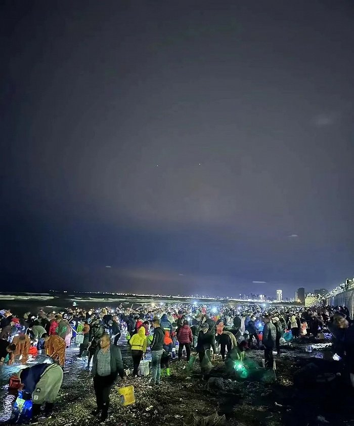 ▲ 开发区海边捡海肠的人。图 / 受访者提供