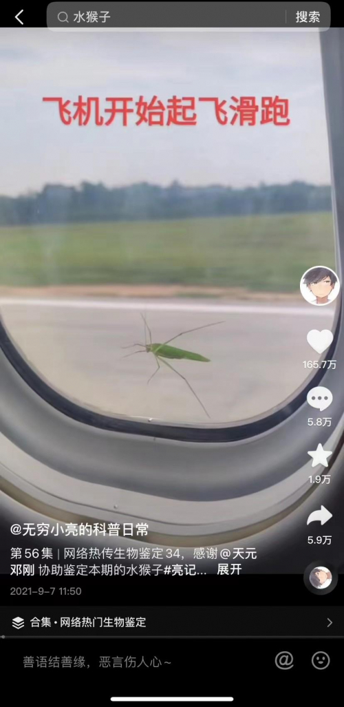 　　张辰亮在抖音科普中告诉网友，这只绿色昆虫不是螳螂