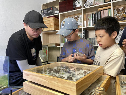 　　“好样”和柒柒相约到郑霄阳的虫室参观