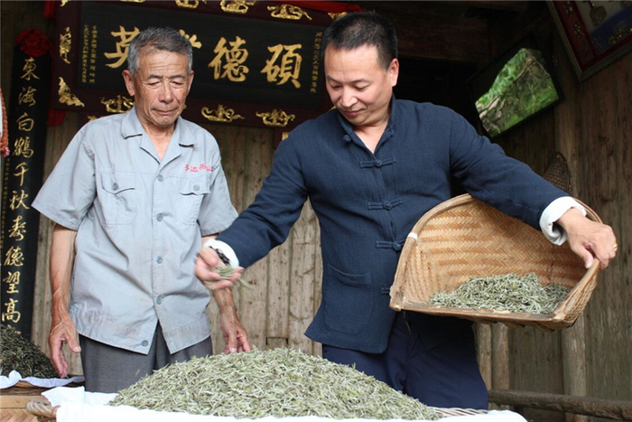 　　*誉达白茶周庆贺先生制茶图