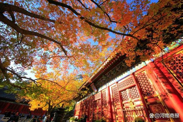 图片来源：香山公园微信公众号