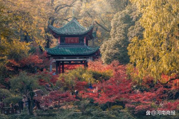 图片来源：岳麓山 橘子洲旅游区微信公众号
