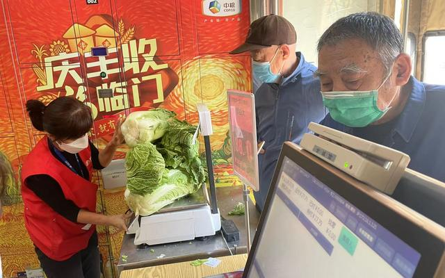 物美超市惠新店售卖冬储大白菜。新京报记者 于桂桂 摄